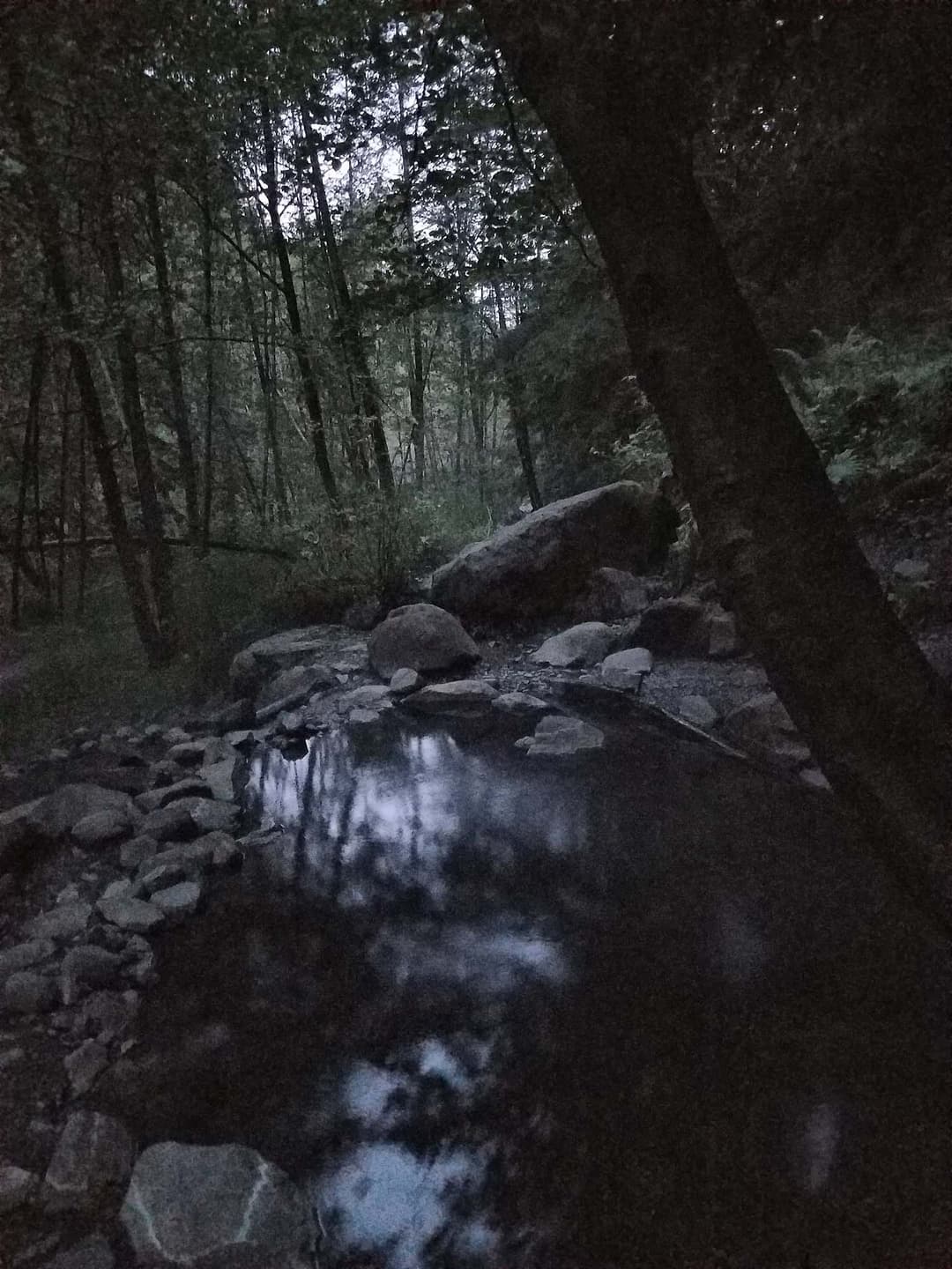 Olympic Hot Springs, WA